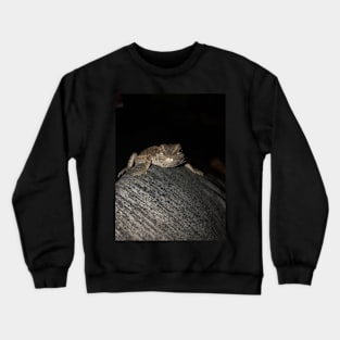 Bearded dragon 🐉 Crewneck Sweatshirt